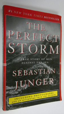 Rajendra Kumar Bhandari : The perfect storm : a true stor...