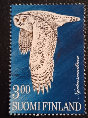 -98 Pöllöjä