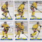 2017-18 Cardset Series 2 Lukko Team Set 12 korttia (277-288) - pikkukuva 2