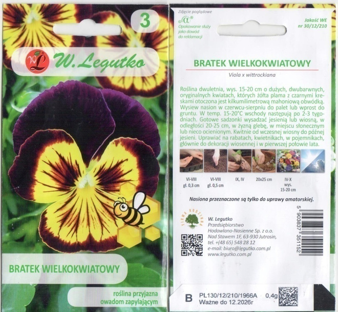 Orvokki "Viola x wittrockiana" siemenet #