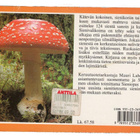 Karisto - SIENIOPAS, 301 s., 124 sienen esittelyt värikuvin - pikkukuva 2