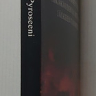 Stephen J. Pyne - Pyroseeni, miten loimme tulen - pikkukuva 2