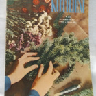 Kotiliesi marraskuu n:o 21 1955 - pikkukuva 1