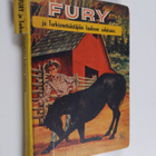 Troy Nesbit : Fury ja Turkismetsästäjäin laakson arvoitus... - pikkukuva 1