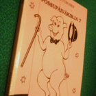 Turunen: POSSUPÄIVÄKIRJA 7 (Julkkisten possupiirroksia) - pikkukuva 1