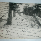 Terijoki, rantatie, vanha mv pk, p. 1904 - pikkukuva 1