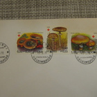 FDC Punainen Risti 13.9.1989 kirje. - pikkukuva 2