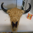 ANIMAL SKULL 30 X 31CM TRIBAL	(45 516)	seinälle - pikkukuva 2