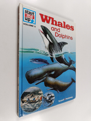 Petra Deimer : Whales and Dolphins