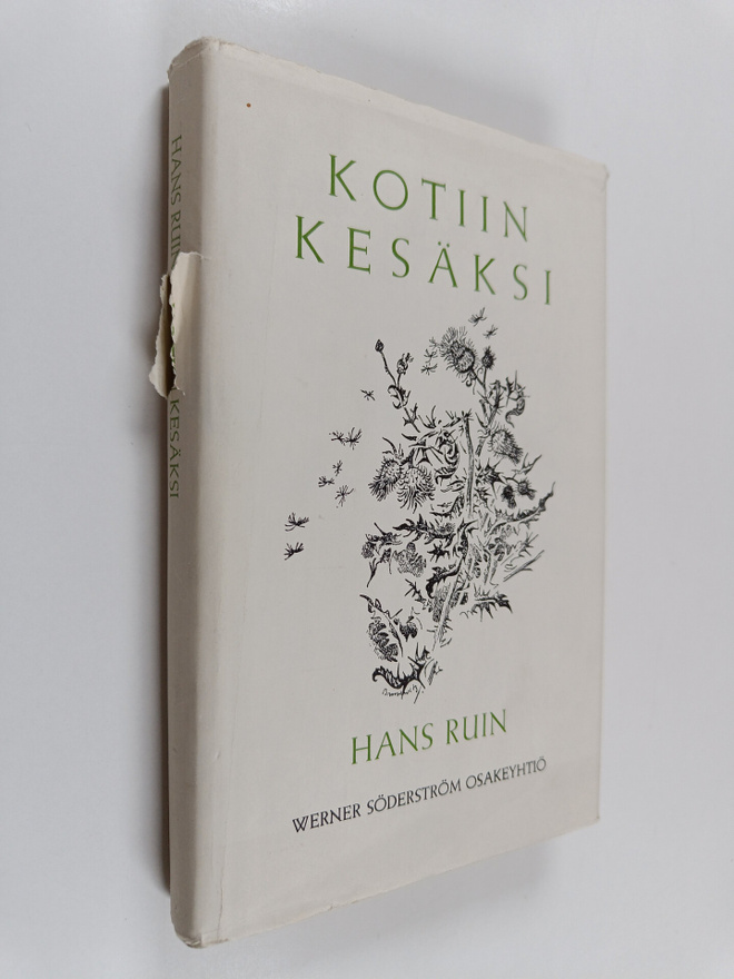 Hans Ruin : Kotiin kesäksi
