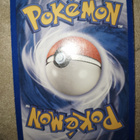 Totodile 134/165 Expedition card - pikkukuva 2