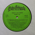 Teddy & The Tigers – Burn It Up - LP - pikkukuva 4