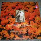 LP vinyyli Lis Sörensen: hjerternes sang - pikkukuva 2