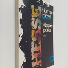 Hermann Hesse : Alppien poika - pikkukuva 1