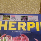 VIHERPIHA-LEHTI 2 / 2016 - pikkukuva 2