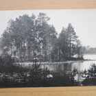 VANHA Postikortti Punkaharju 1927 - pikkukuva 1