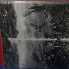 ZOM - Flesh Assimilation M-/M- LP - pikkukuva 2