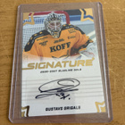 Gustavs Grigals Saipa signature gold blueline 26-27 - pikkukuva 1