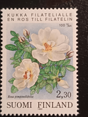 -93 Järjestäytynyt Filatelia