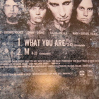 Bleak: What You Are CDS - pikkukuva 2