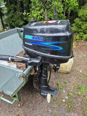 Sea king 5hp