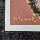 Andy Warhol Litografia sign.numeroitu katso harvinainen. - pikkukuva 2
