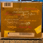 BETH ORTON - Comfort Of Strangers cd - pikkukuva 2