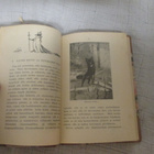 HOPEAKETUN ELÄMÄKERTA - ernest thompson seton ( 1.p v 1912 - pikkukuva 4