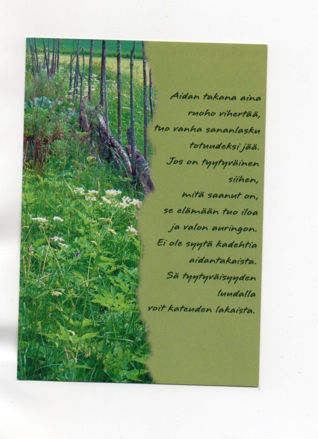 °°AIDAN TAKANA AINA RUOHO..." -KORTTI /(Käyttämätön)
