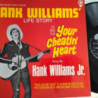 Hank Williams Jr LP - pikkukuva 1