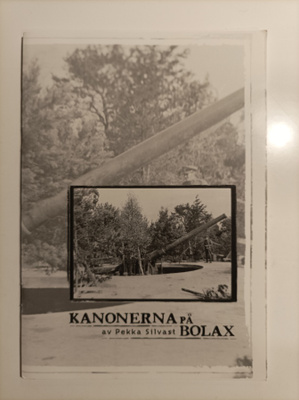 Kanonerna på Bolax