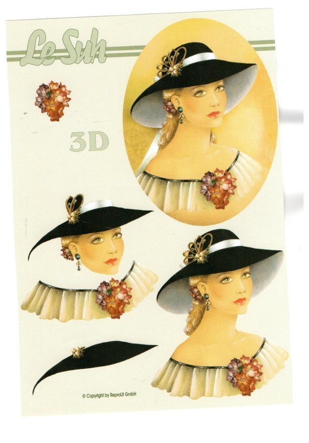 3D "°NAINEN & KUKKAISKORU"° /Le Suh