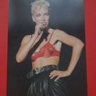Annie Lennox, Eurythmics postikortti,12×17cm - pikkukuva 1