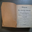 Bibeln (v. 1895) - pikkukuva 4
