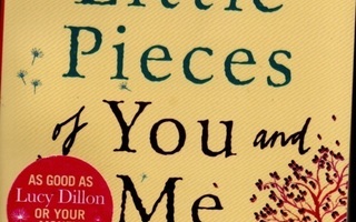 Vanessa Greene: The little pieces of you and me