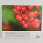 Markus Maulavirta : Flavours from the Finnish countryside - pikkukuva 2