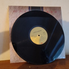 Whitesnake – Slip Of The Tongue LP - pikkukuva 3