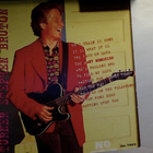 STEPHEN  BRUTON  ::  WHAT IT IS  ::  CD  ALBUM   US  1993  ! - pikkukuva 2