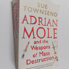 Sue Townsend : Adrian Mole and the Weapons of Mass Destru... - pikkukuva 1