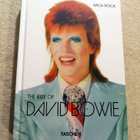 Mick Rock: The rise of DAVID BOWIE kirja. Kovak. 192s. - pikkukuva 1