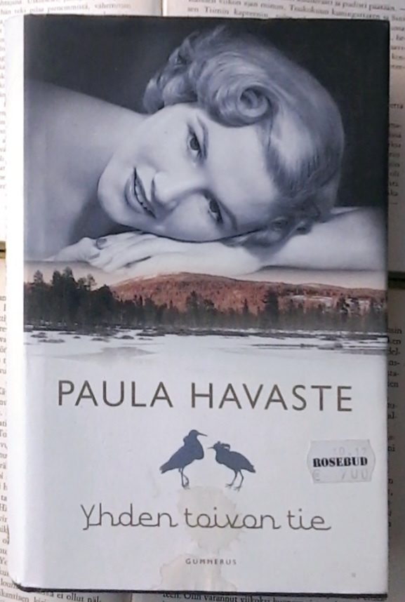 Paula Havaste - Yhden toivon tie (sid.)
