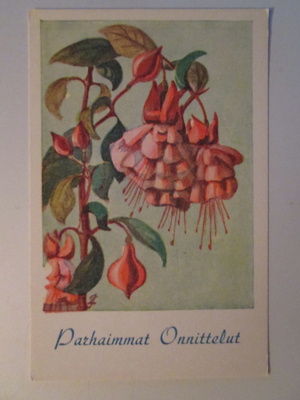 KULKEMATON KUKKAKORTTI 1940- LUVULTA ONNITTELUKORTTI