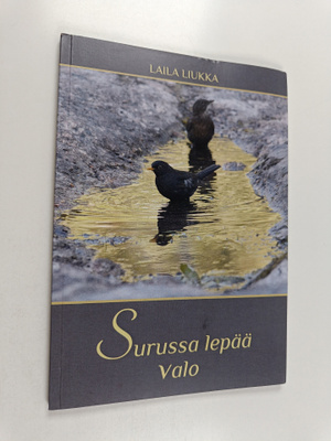 Laila Liukka : Surussa lepää valo