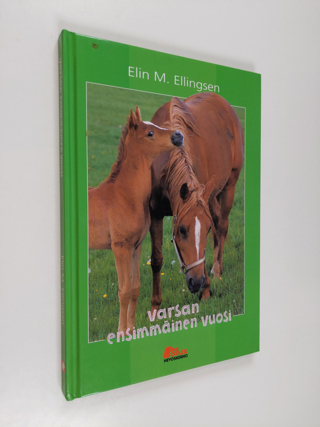 Elin Meldahl Ellingsen : Varsan ensimmäinen vuosi