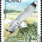 Åland 2000 Lintuja 2,20 mk EPalareuna LOISTO LaPe 169 - pikkukuva 1