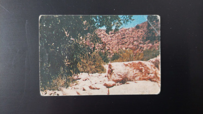 High Chaparral # 107