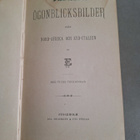 Vanha yhteissidos (kuv. 1881) - pikkukuva 2