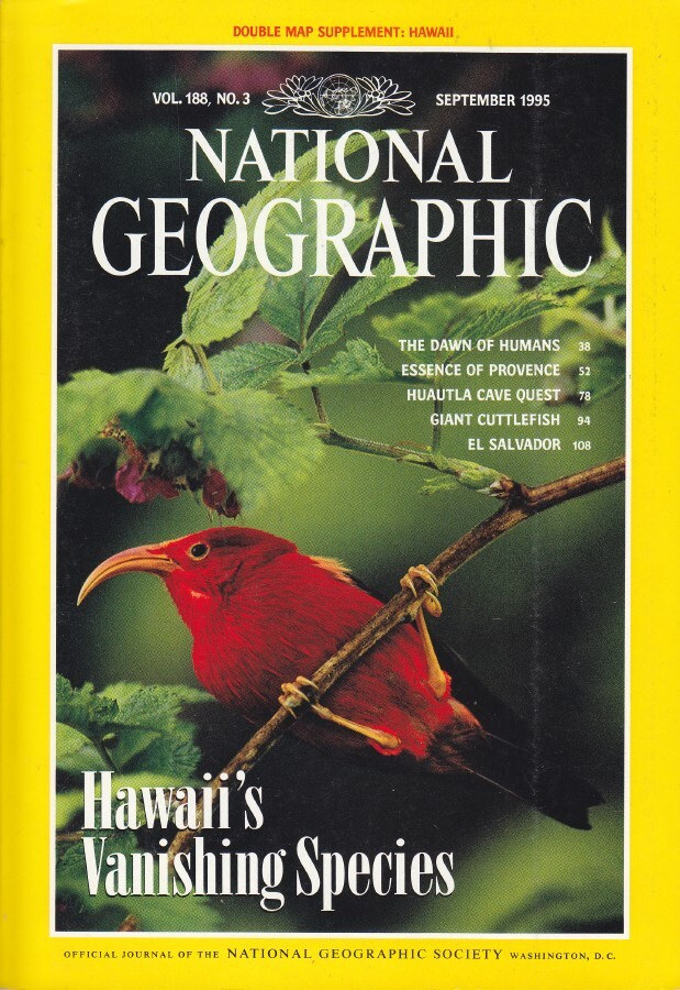 National Geographic vol.188 No.3 poster: Havaii