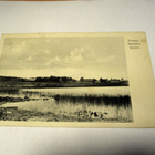 Laukaa Saarikko sens - 1916 - pikkukuva 1