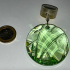 Swarovski kristallifiguriini SCS 2008 bamboo (jäsenlahja) - pikkukuva 2
